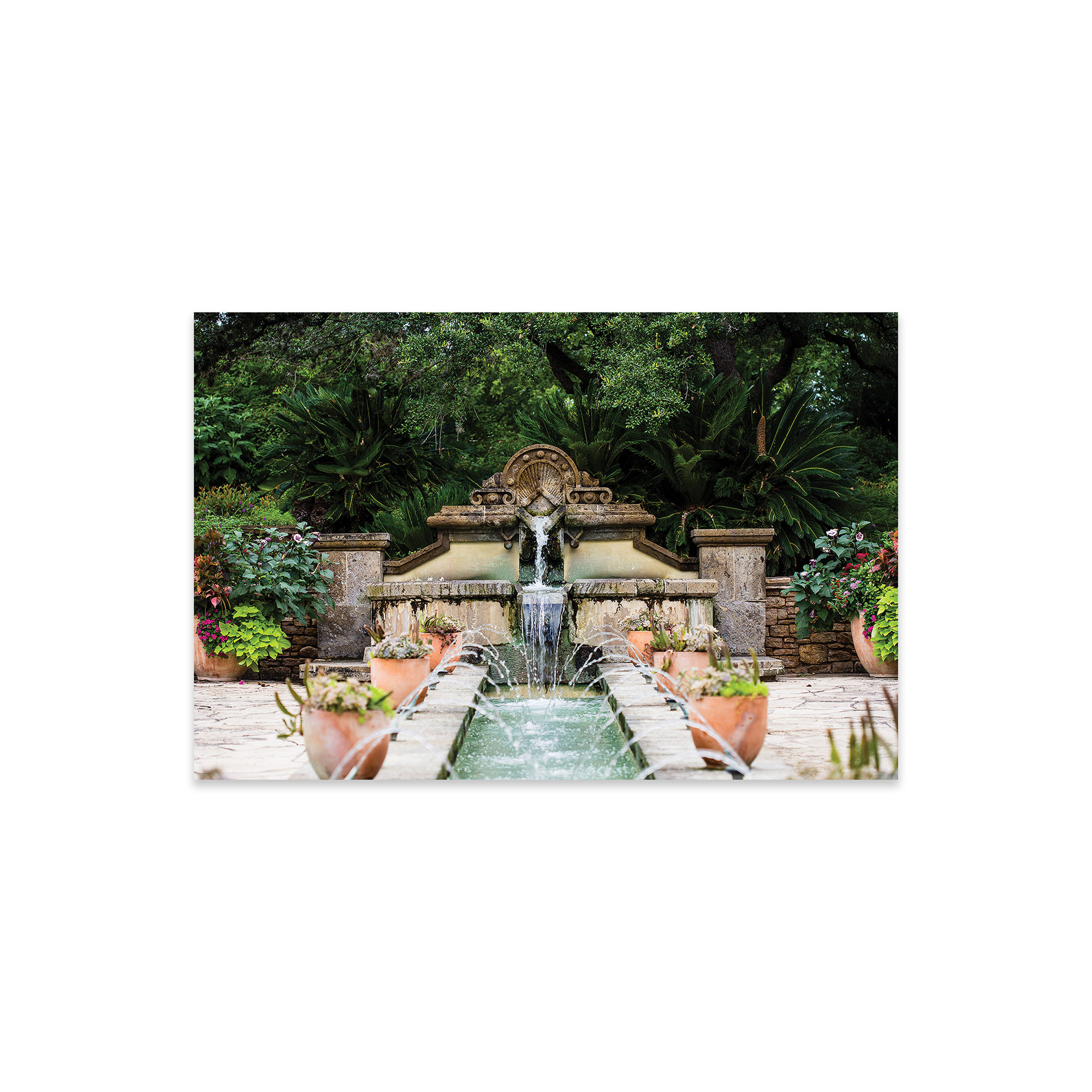 Ebern Designs " San Antonio Elements " by Ann Hudec Wayfair